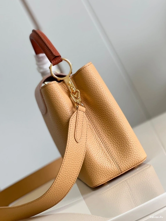 LOUIS VUITTON CAPUCINES MM 0420